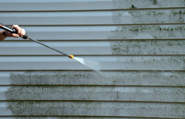 Best Driveway Cleaning and Restoration in Alliance, NE